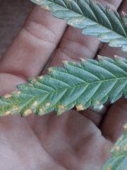 CAM00053[1]