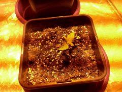 CAM00523
