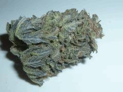 Blue Cheese Bud