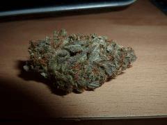 Critical Mass CBD