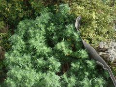 DSC0106211111