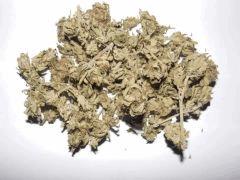 super skunk