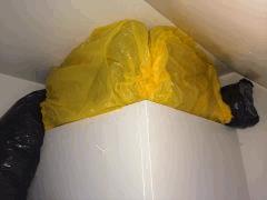 IMG 4281   copie
