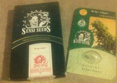 Sensi Seeds