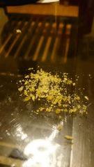 BHO