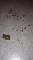 Finger Hash