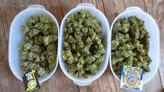 CURING 2