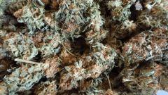CURING