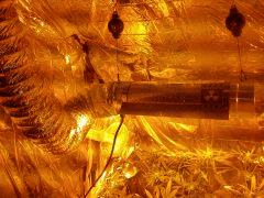 CooolTube ! HPS 400W