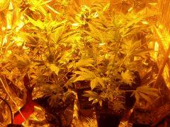 DSC 10639