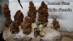 IMG 20151224 125730