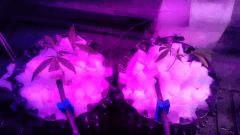 IMG 20160612 WA0004