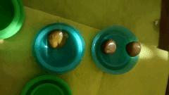 IMG 20150405 170316813