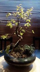 IMG 20150215 153337597