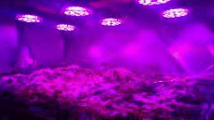 IMG 20140920 194808468