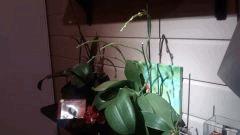 IMG 20141130 180244484