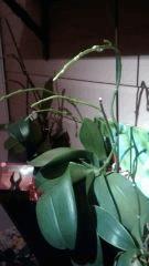 IMG 20141130 180340707