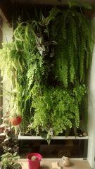 IMG 20150614 131931972
