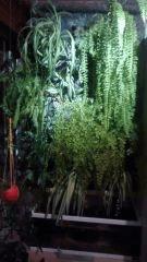IMG 20141130 180409591