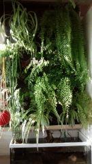 IMG 20140914 175636475