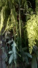 IMG 20141018 182616705