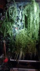 IMG 20141130 180424549