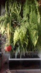 IMG 20141018 182540958