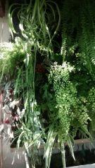 IMG 20140914 175653176