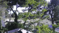 P 20140608 184917