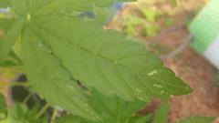 IMG 20140812 112200