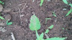 IMG 20140515 205544