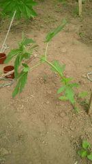 IMG 20140529 162354