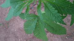 IMG 20140528 214121