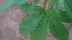 IMG 20140528 214113