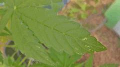 IMG 20140812 112200 Hdr