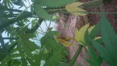 IMG 20140812 112601