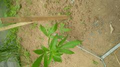 IMG 20140529 162404