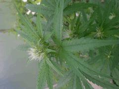IMG 20140814 091054