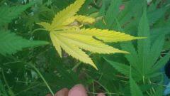 IMG 20140812 112504