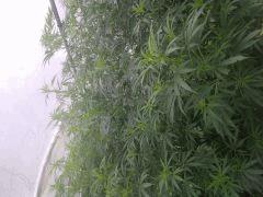 IMG 20140814 091532