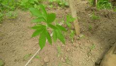 IMG 20140529 162625