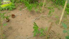 IMG 20140529 162656
