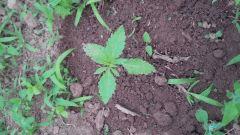 IMG 20140515 205534