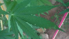 IMG 20140812 112708