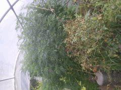 IMG 20140814 091521