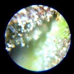 2014 08 05 18.54.11
