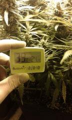 Mes conditions climatique :)