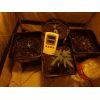 plantes Box