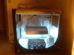 propagator 90×80×90 sous eco 125