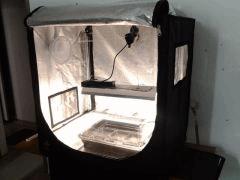 ma nouvelle box boutz